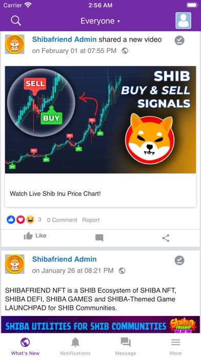 Shib SocialFi & Launchpad Screenshot