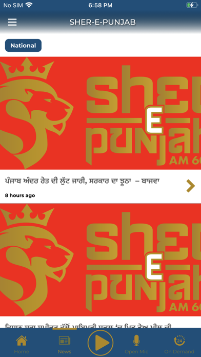 Sher-E-Punjab Radio Screenshot