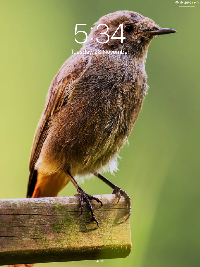 Live Wallpaper-Cool Background