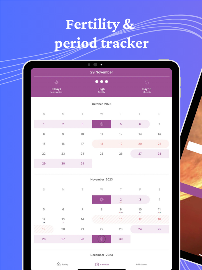 Mali Fertility and Ovulation