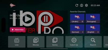 Ib Player screenshot 2