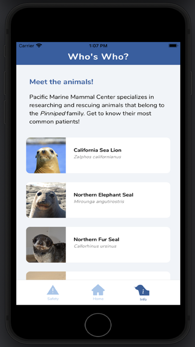 Seal Spotter Screenshot