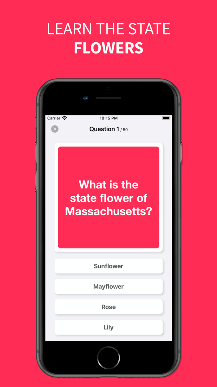 States - Flashcards and Quiz