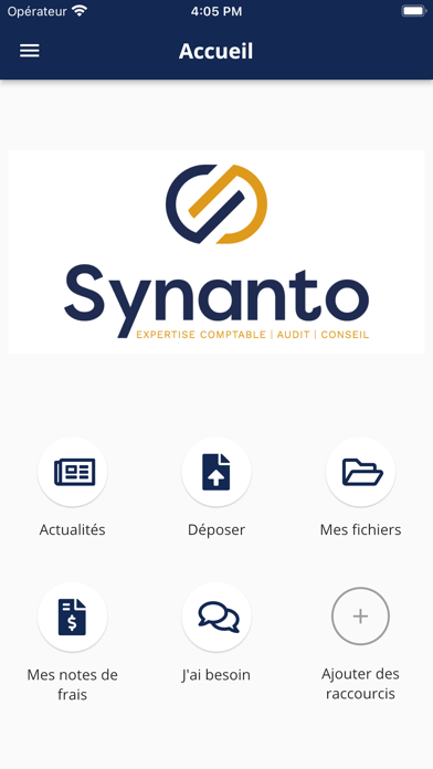 SYNANTO Screenshot