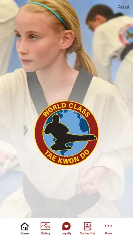 Game screenshot World Class Tae Kwon Do mod apk