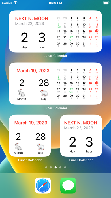 Lunar Calendar And Widget Screenshot