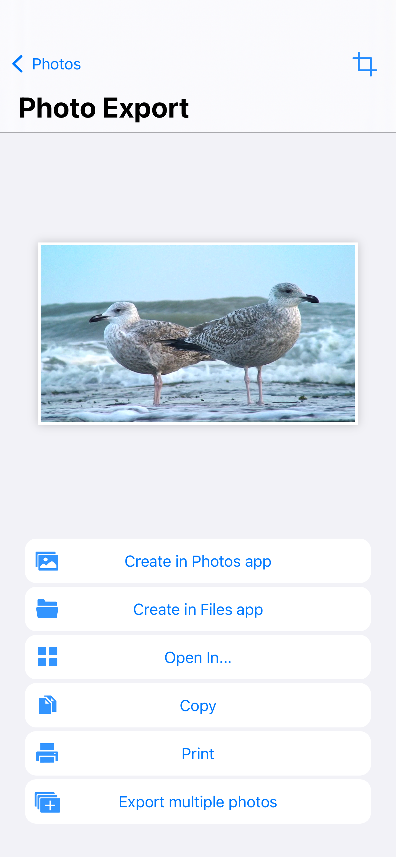 PureClip Photo