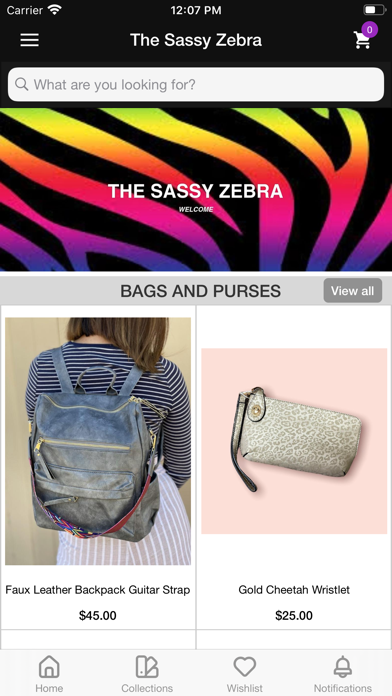The Sassy Zebra Screenshot