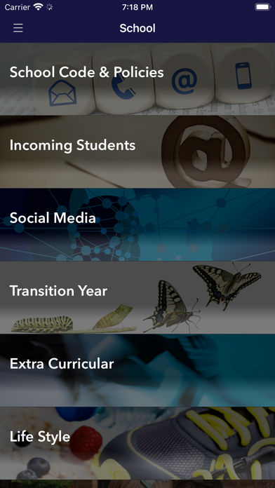 Marino College Screenshot