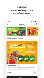 mr. kebab | Доставка iphone screenshot 2