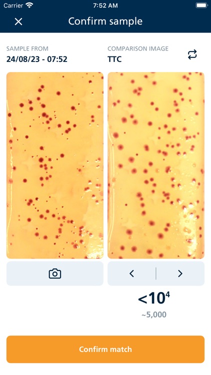 Dipslide Comparator 2