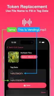 tunetag mp3 tag editor problems & solutions and troubleshooting guide - 2