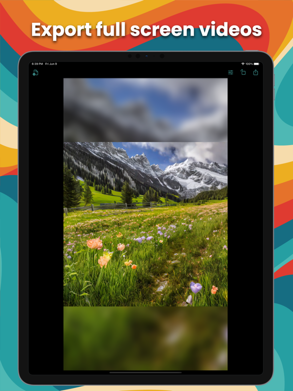 Screenshot #4 pour Video Reshape : Taille vidéo