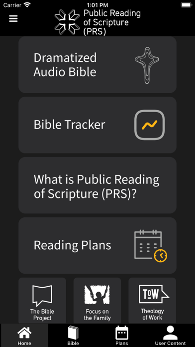 Public Reading of Scripture Screenshot