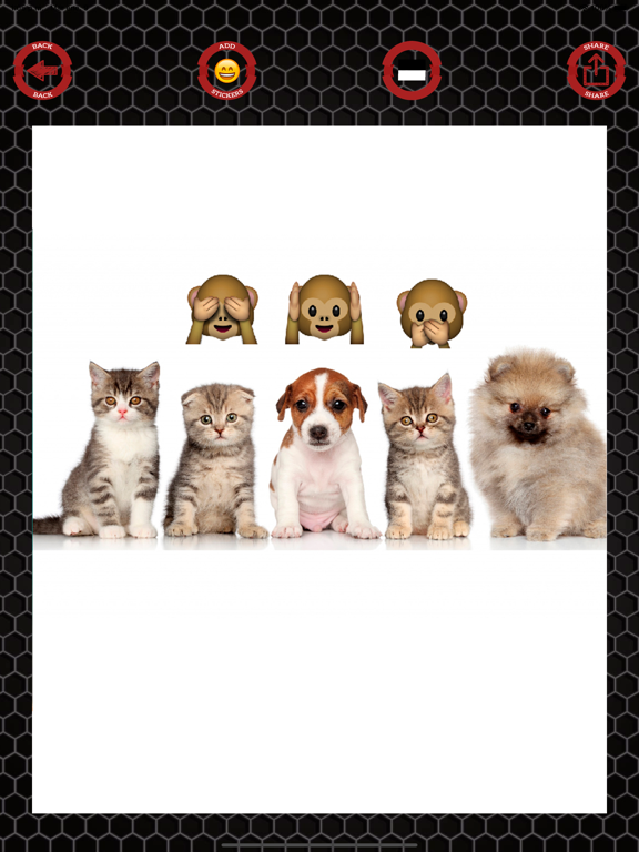 Emoji stickers to photos iPad screenshot 5 - Photo & Video app