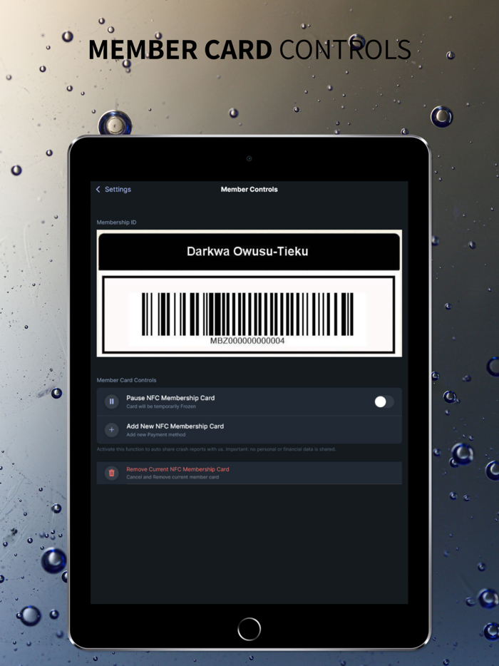 Rebelity Memberships