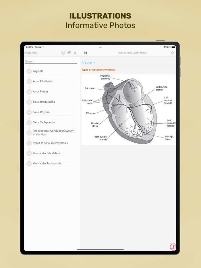 Diseases and Disorders Nursing