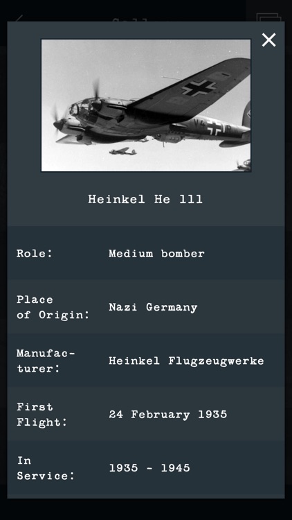 Guess the World War 2 Warplane screenshot-5