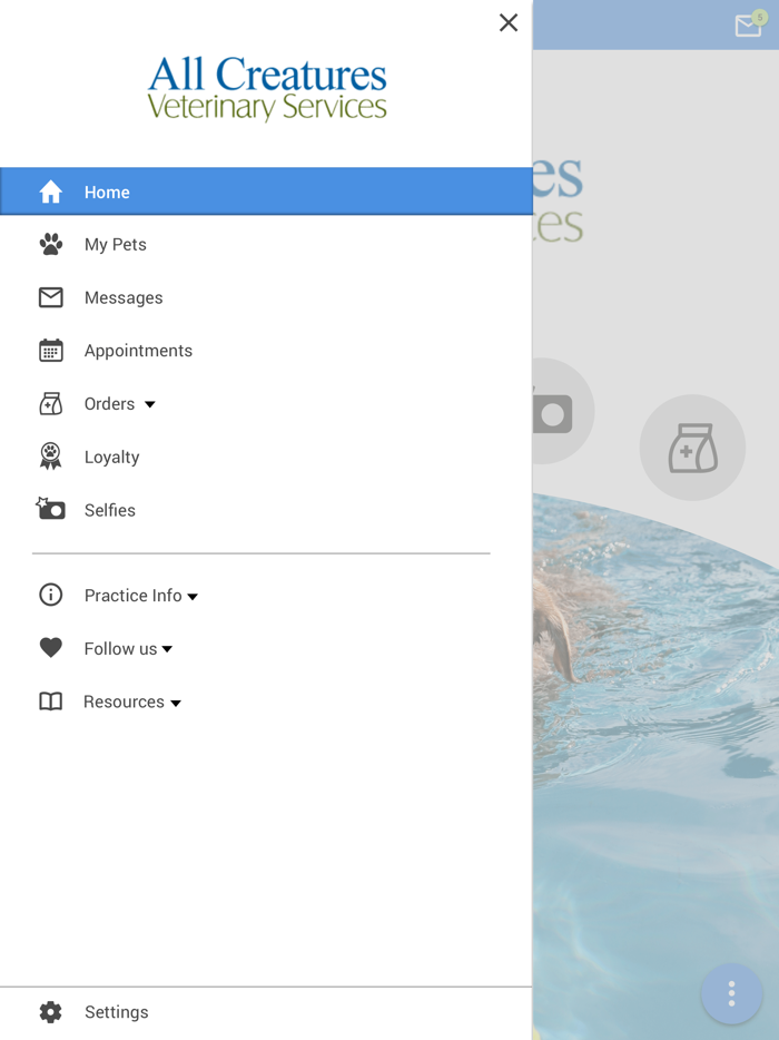 All Creatures Arlington