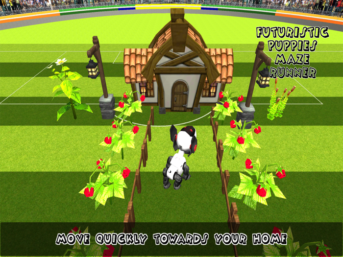 Futuristic Puppy Maze Run
