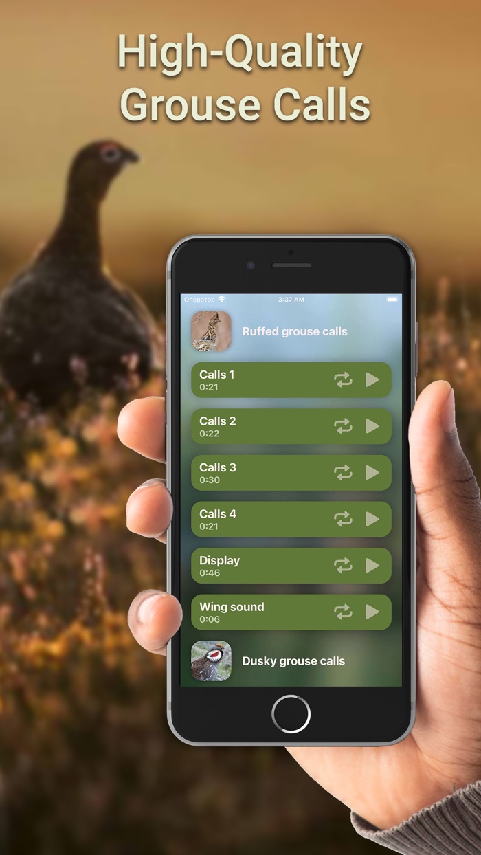 Hunting Calls Grouse