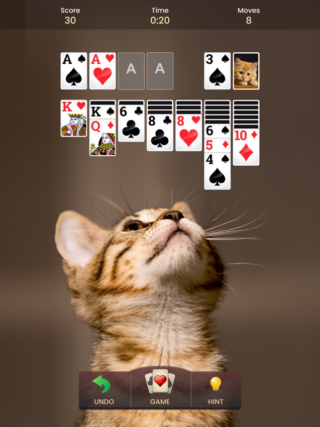 Solitaire Kitty Cat Village: Gameplay, tutorial, regras, jogo de cartas,  paciência JOGO NOVO GRÁTIS 