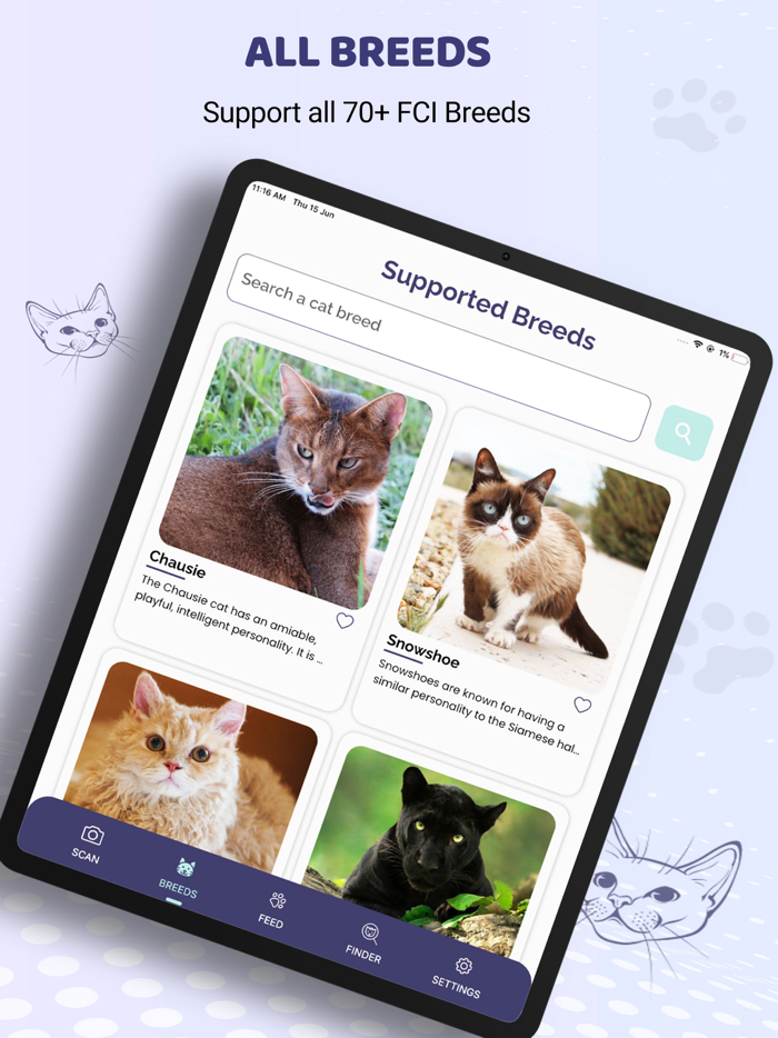 Cat Identifier AI Cat Scanner