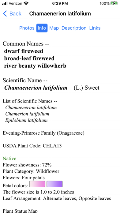NT Wildflowers Screenshot