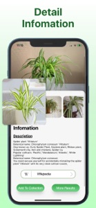 What Kind Of Plant Is This screenshot #1 for iPhone