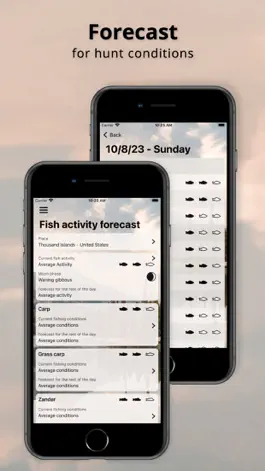 Game screenshot When to Fish apk