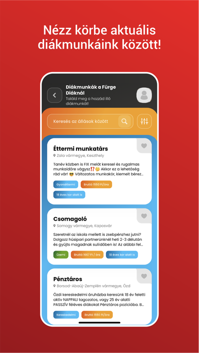 Fürge Diák Iskolaszövetkezet Screenshot