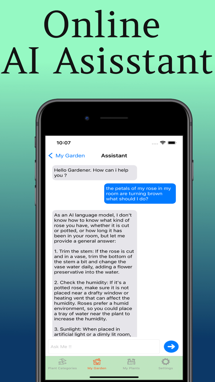Plant Care Guide and Tips