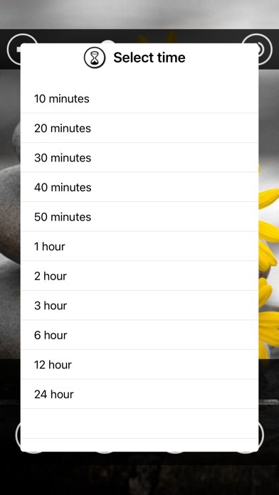 Relaxing Spa : Massage Music Screenshot