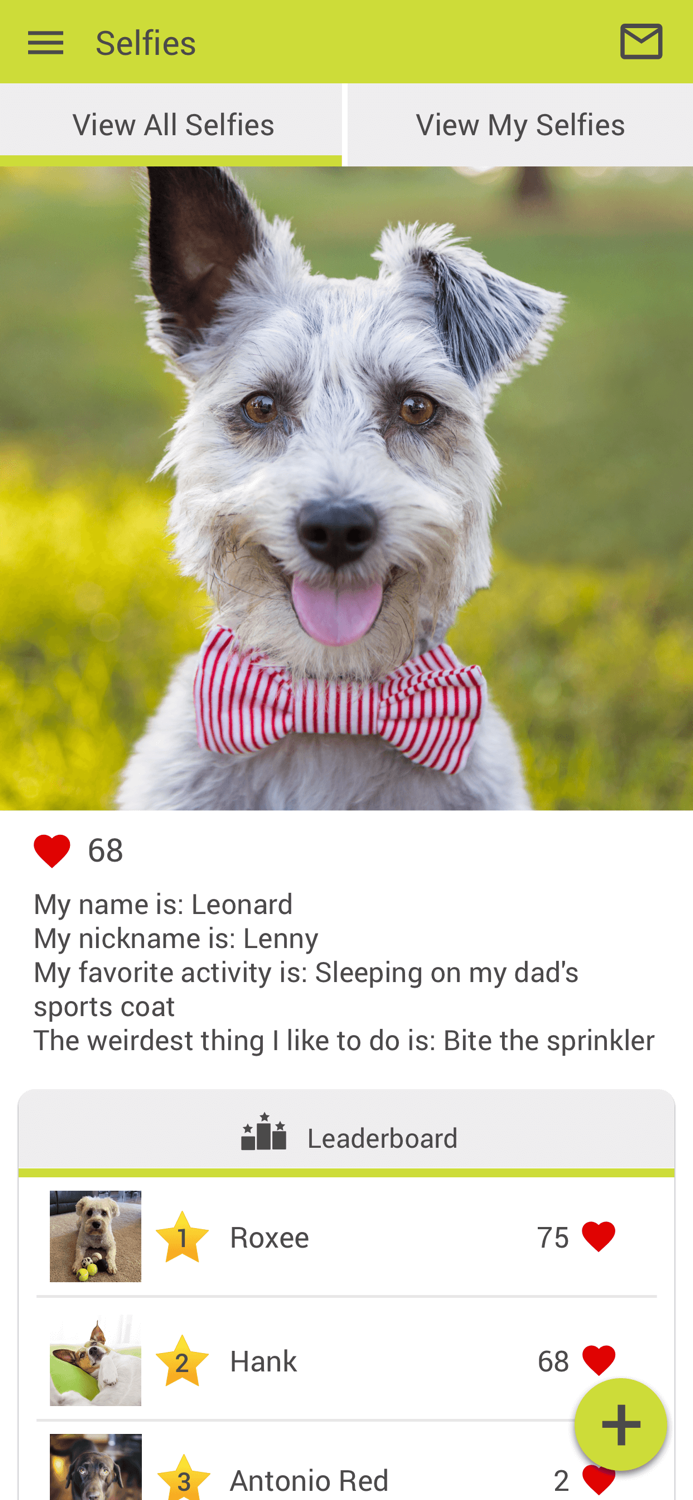 Milford Veterinary Clinic