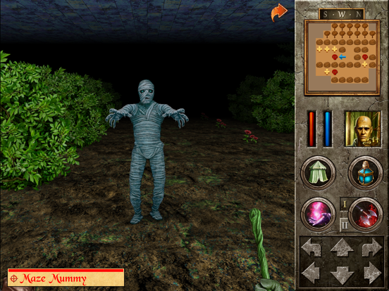 Screenshot #5 for The Quest - Cursed Chess Set