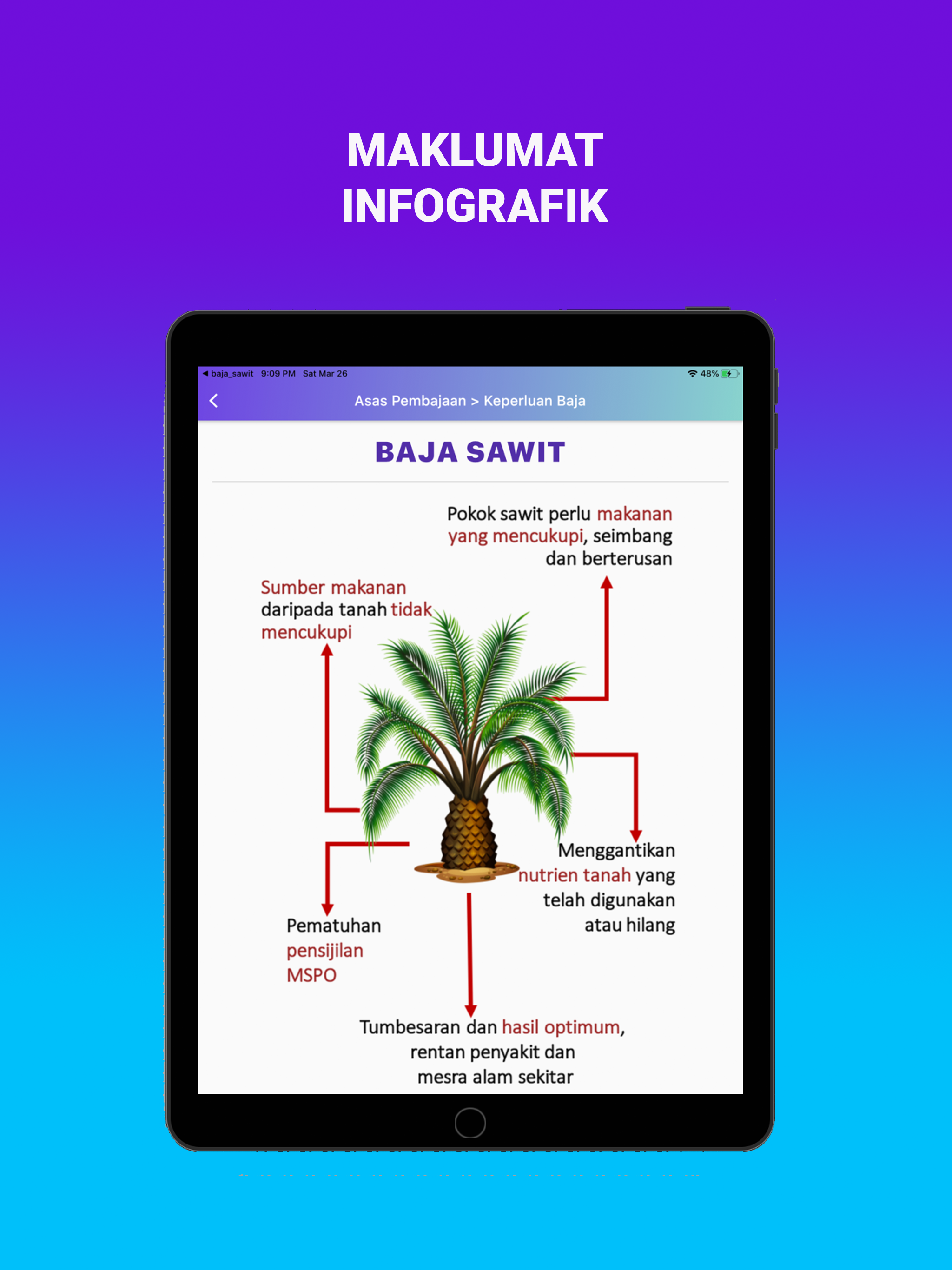 Baja Sawit