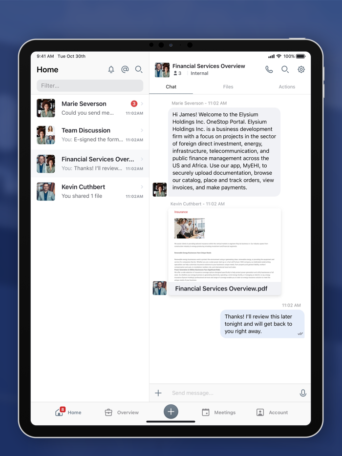 Elysium Holding Inc.