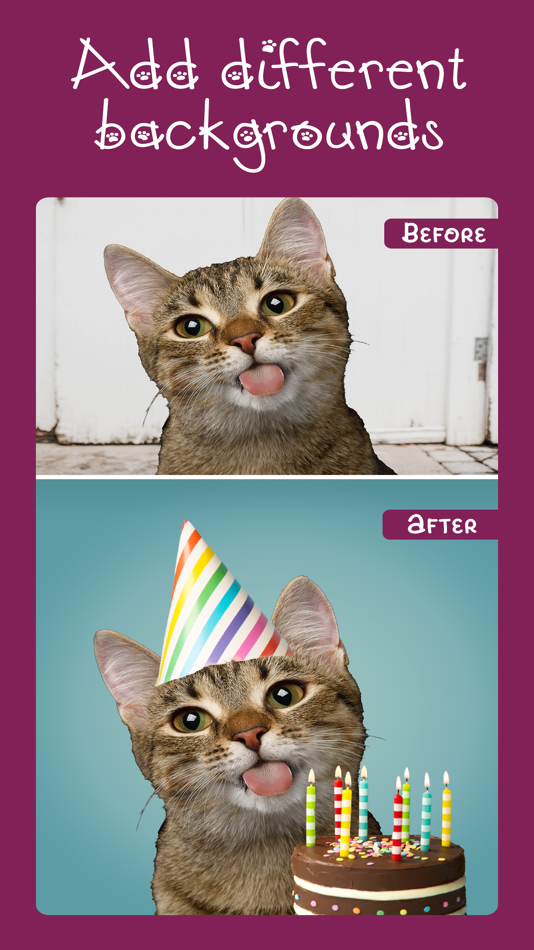 #2. Cat Photo Editor! (iOS) Ved: Random Step