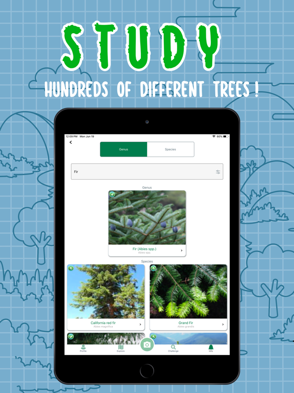 iSeaTree iPad screenshot 2 - Education app
