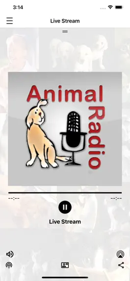 Game screenshot Animal Radio mod apk