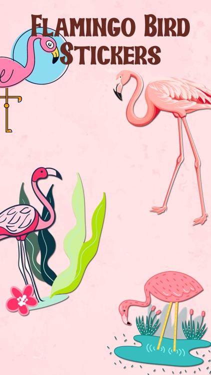 Watercolor Flamingo Stickers