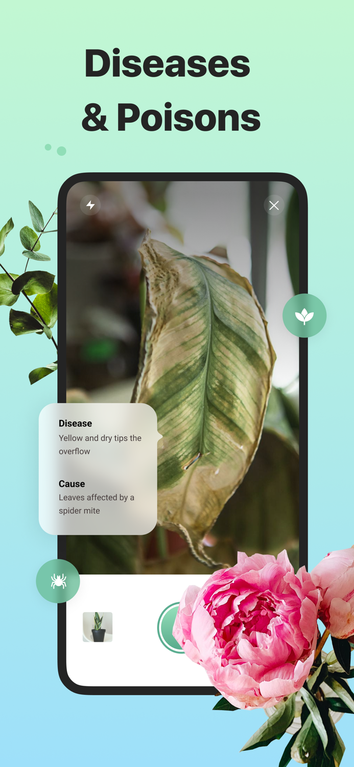 The Plant Identifier and Care
