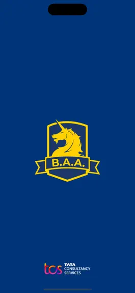 Game screenshot B.A.A. Racing App mod apk