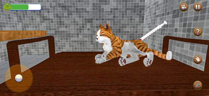 Animal Shelter Pet Cat Games