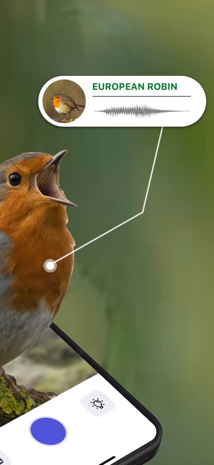 Bird Sounds Identifier Call ID