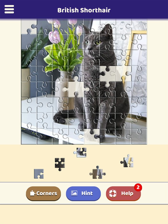 British Shorthair Puzzle