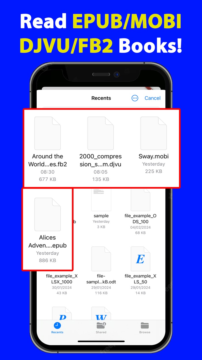 MOBI EPUB FB2 DJVU Reader Book