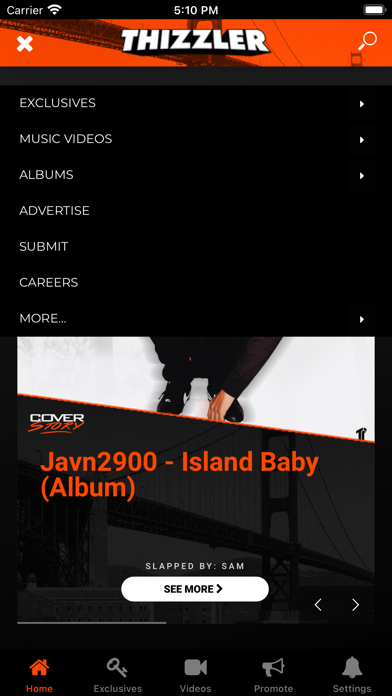 Thizzler On The Roof Screenshot