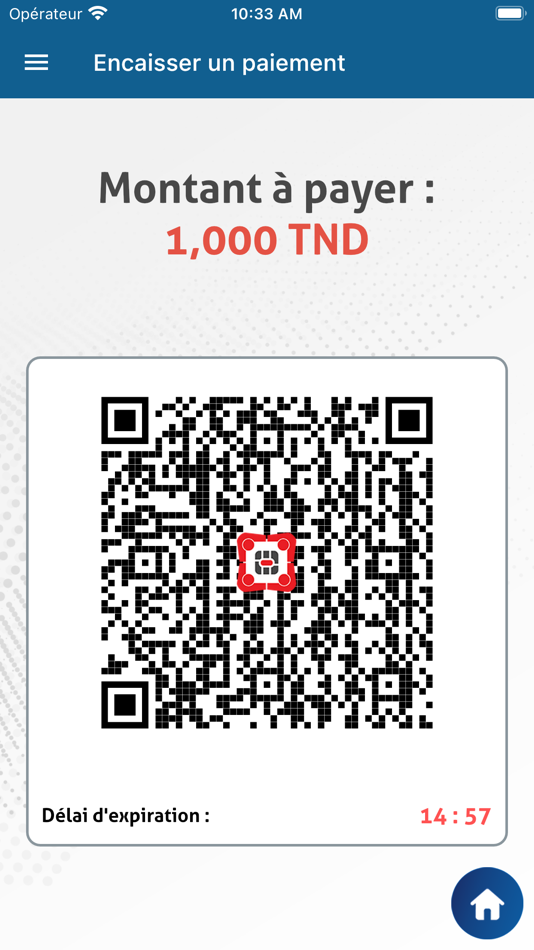 #4. BTKPAY PRO (iOS) 由: BTK BPCE