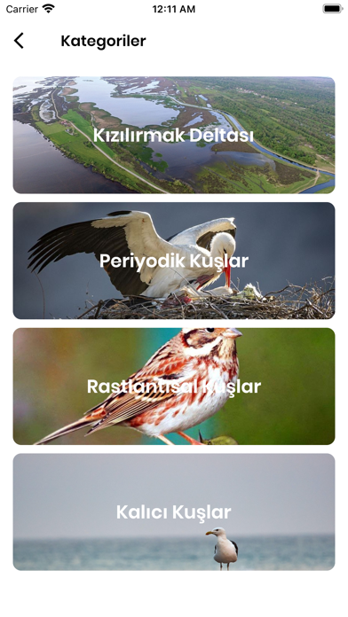 Kızılırmak Kuşları Screenshot